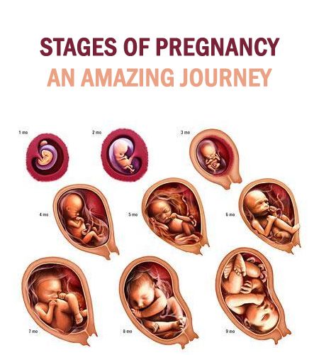 journey is pregnancy